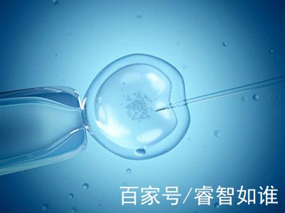 供卵代怀包男孩